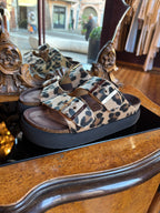 Leopard print Arizona